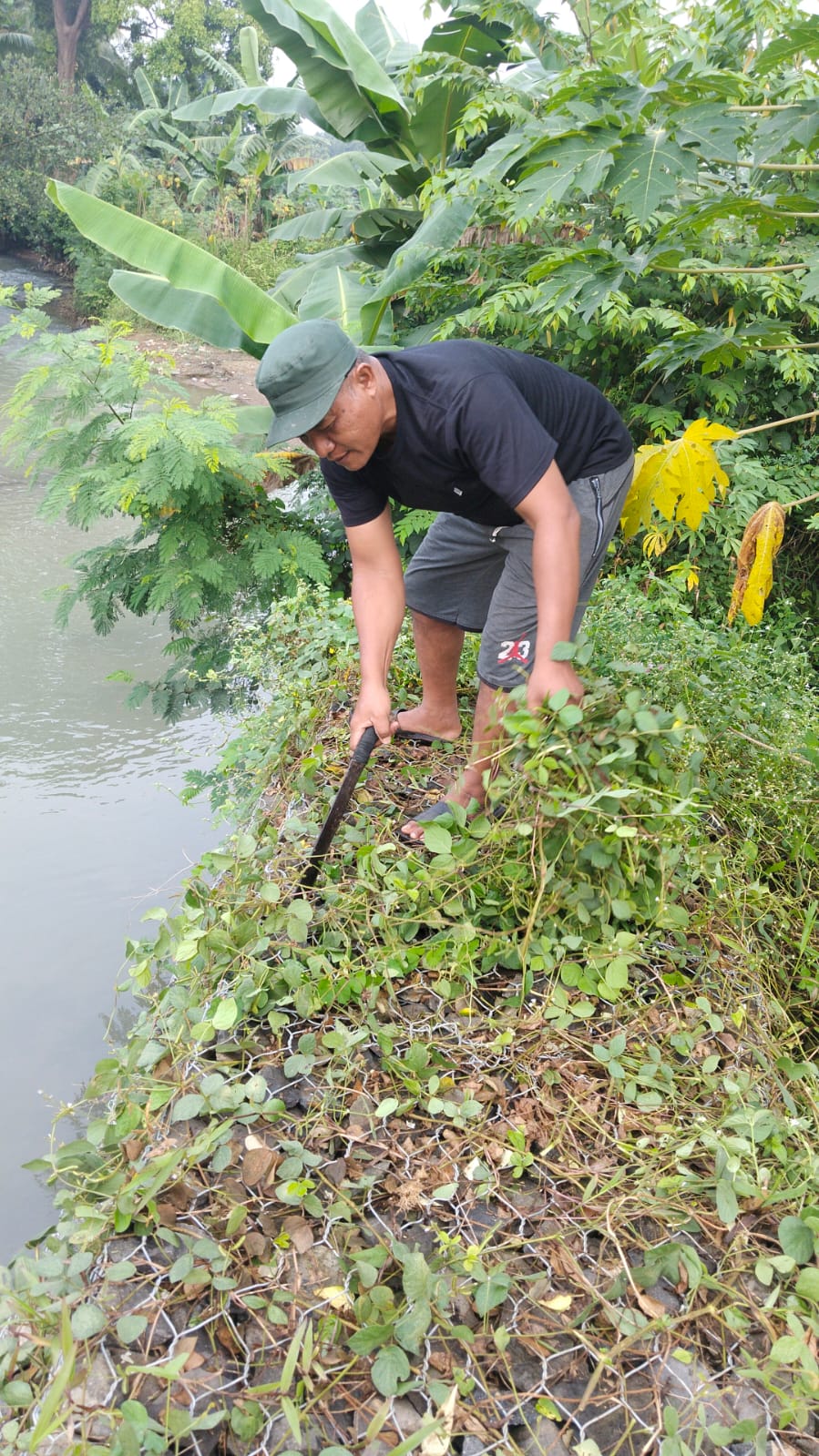 Kegiatan